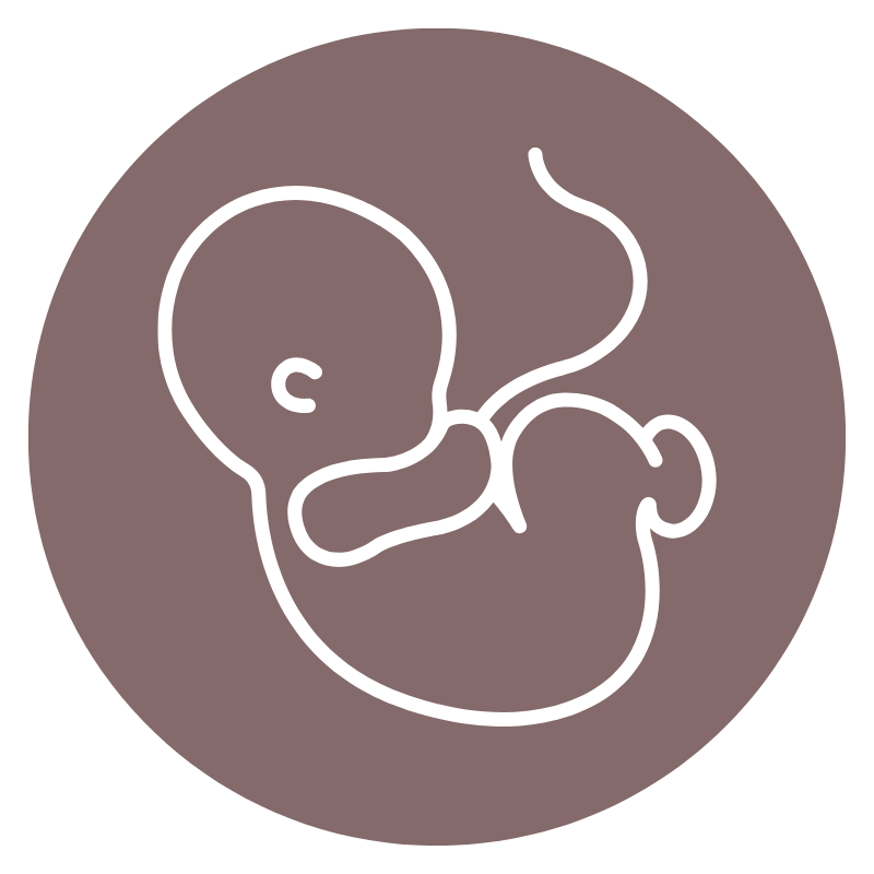 neutral pink modern circle shape linkedin profile picture (6)